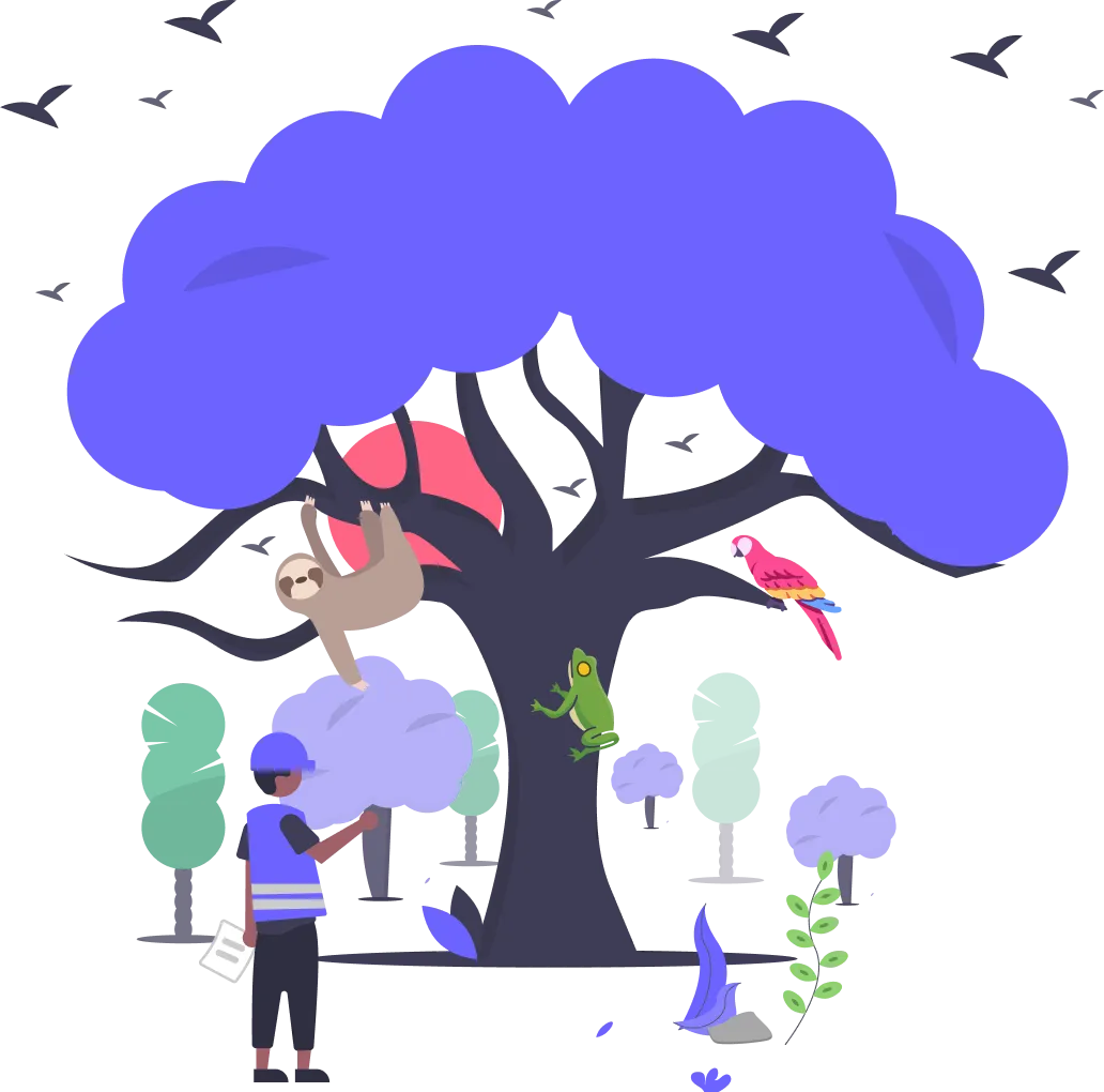 Protect Rainforest